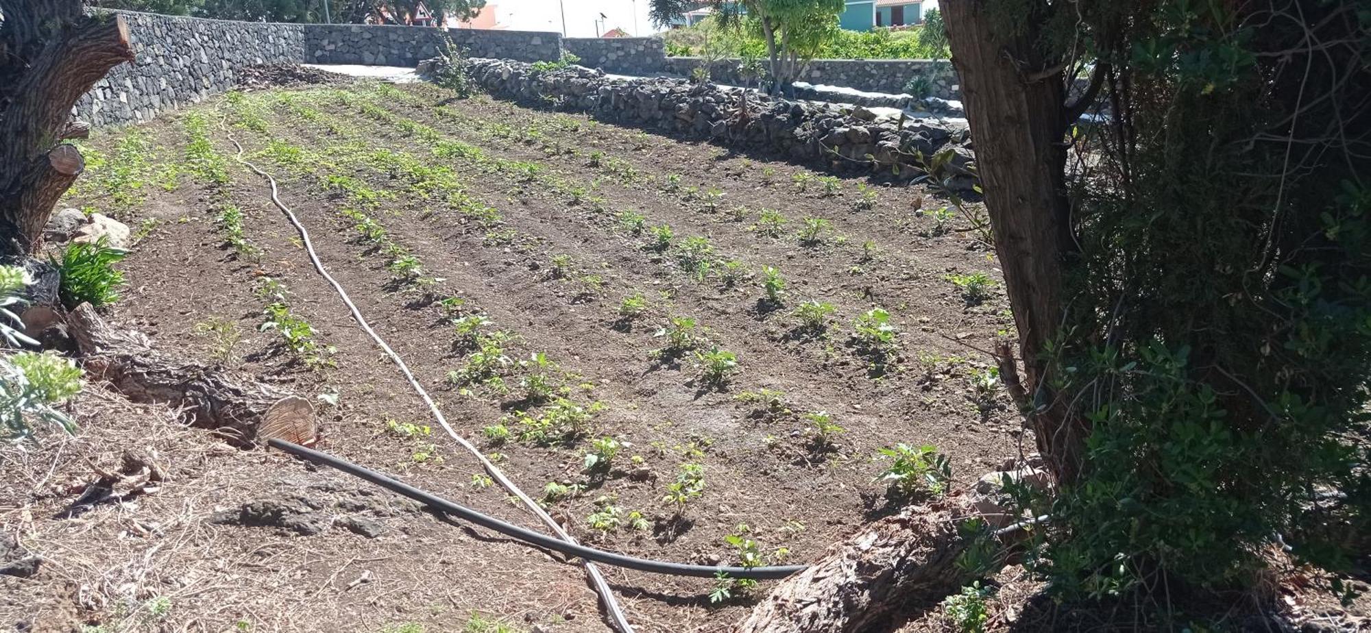 El Sueno Del Angel Villa Santa Cruz de la Palma  Eksteriør billede
